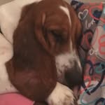 Bellafrye - @bellafrye6425 - Instagram