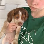 Bella Fuller - @bellafuller2022 - Instagram