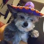 Bella Gamez - @bella020611 - Instagram