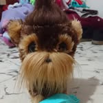Bella Gámez Del Rivero - @bellagamezdel - Instagram