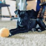 Bella Gentry - @little_sassy_bella - Instagram