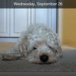 Bella Gerken - @bellafivetwenty - Instagram