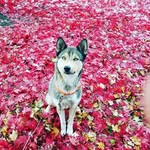 Bell Hines - @bellahines134 - Instagram