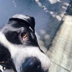 Bella Blue Hines - @bellabluehines - Instagram