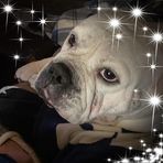 Bella Hines - Facebook