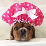 Bellahull10 - @bellahull10 - Instagram