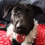 Bella Kline - @bellasperception - Instagram