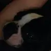 Bella Kline - @bella_kline - TikTok