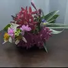 bellakline75 - @bella.kline1 - TikTok