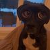 Bella Levi - Facebook