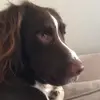 bella! - @bella_mcgrath123 - TikTok