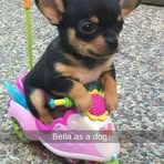 Bella McKee - Facebook