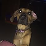 Bella Mckee - @bella_mckee15 - Instagram