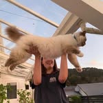 bella.mckee - @bella.mckee - Instagram
