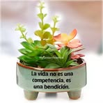 Bella Mia - Facebook
