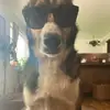 Bella Michel - @bellamichel5 - TikTok