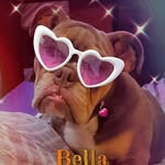 Letita Mims - @bella_mims2020 - Instagram