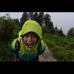 Bella - @bellamonkey17 - Instagram