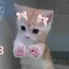 Bella Moran - @bellamoran19 - TikTok