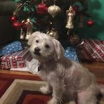 Bella Moran Garcia - Facebook