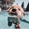 Bellas spare account - @bellamoran05 - TikTok