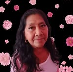 Bella Morena - Facebook