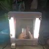 Bella Morris - @bella.morris02 - TikTok