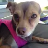 bella.moye2 - @bella.moye2 - TikTok
