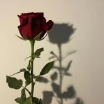 ℑ𝔰𝔞𝔟𝔢𝔩𝔩𝔞 - @isa_bella.murillo - Instagram