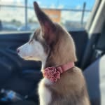 Bella & Nash - @bella___nash - Instagram