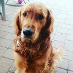Bella Natale - @eldenaker17_ga - Instagram