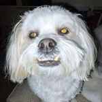 Bella Natale - @theyfwbella101 - Instagram