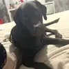 bellaandnorman - @bellaandnorman - TikTok