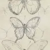 Bellaa🦋 - @bellaochoa12 - TikTok