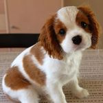 Bella.Olsen - @bella.olsen2 - Instagram