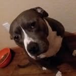 Bella Orr - @oh.look.its.bella - Instagram