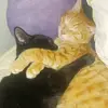 Bella - @bellaoverton - TikTok