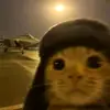 Bella Owens - @bella.owens45 - TikTok