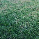 bella parada - @bonii_22 - Instagram