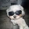 bella 🍒 - @bellaparkstolz - TikTok