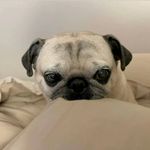 qpffk88 - @bella__park_ - Instagram