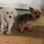 Bella and Patrick - @bella_patrick_ - Instagram