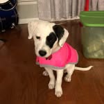 Bella Patterson - @taco.bella_20 - Instagram