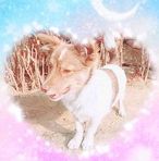 Bella Patton - Facebook