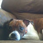 Bella_Patton - @bella_patton8453 - Instagram