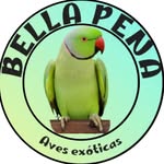 Bella pena sc - @bellapenasc - Instagram