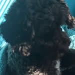 Bella Pence - @bella.pence - Instagram
