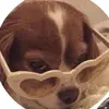 Ava😭 - @bella.is.well.peng - TikTok