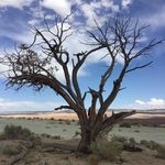 Bella Peng - @bellapeng15 - Instagram