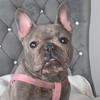 bellapennington - @bellapennington8 - TikTok